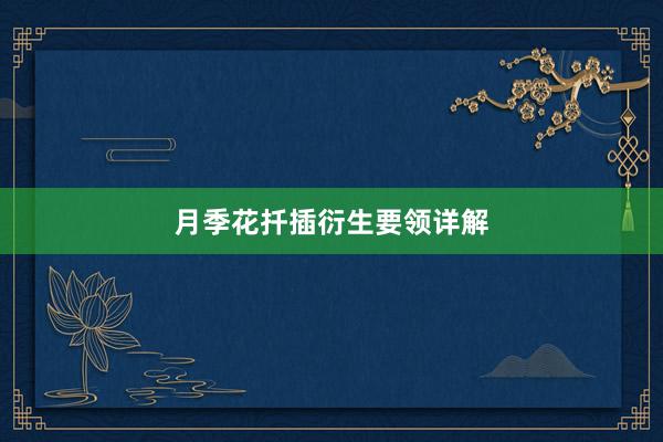 月季花扦插衍生要领详解